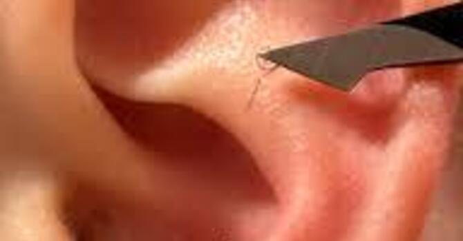 SAAT Alpha Gal and Allergy Treatment